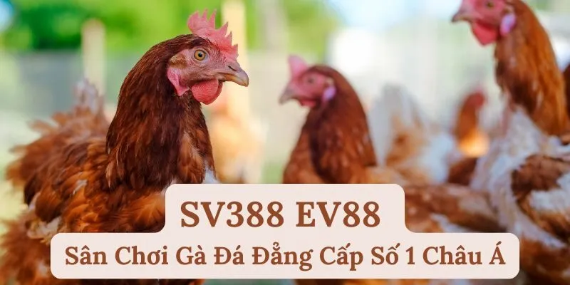 anh dai dien da ga sv388 ev88